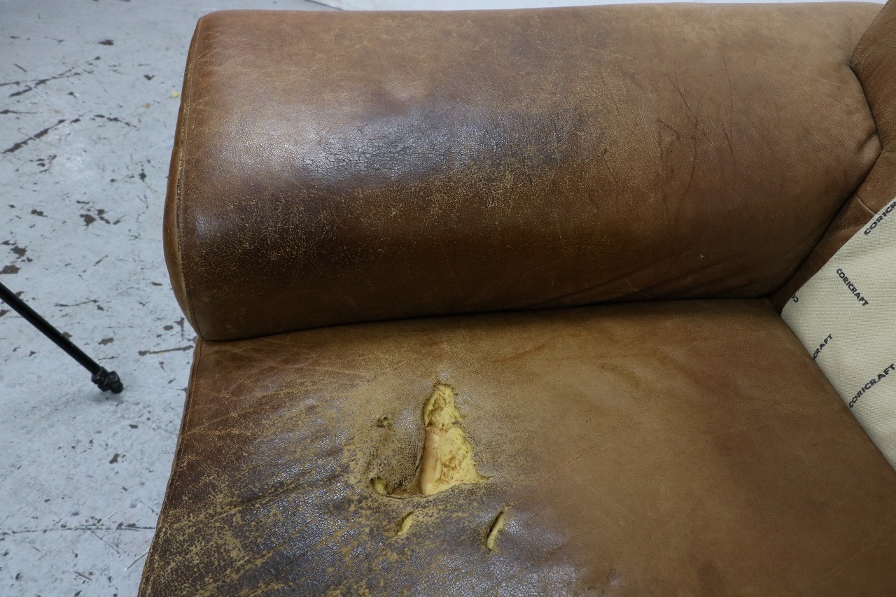 WhatsApp Image 2025-12-15 at 10.06.56 AM33